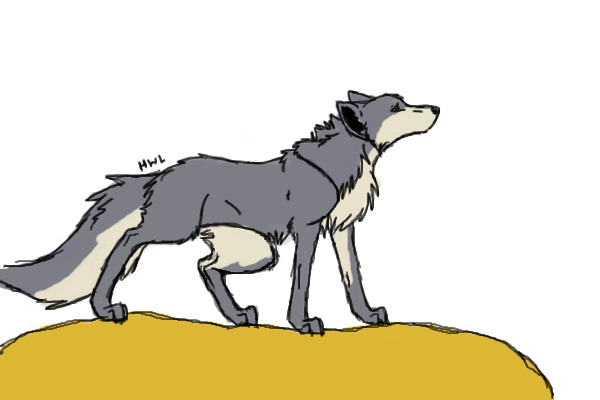 Coloured in wolf