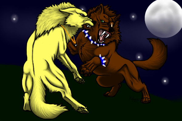 Wolf Fight