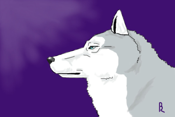 Ice... me as a dog
