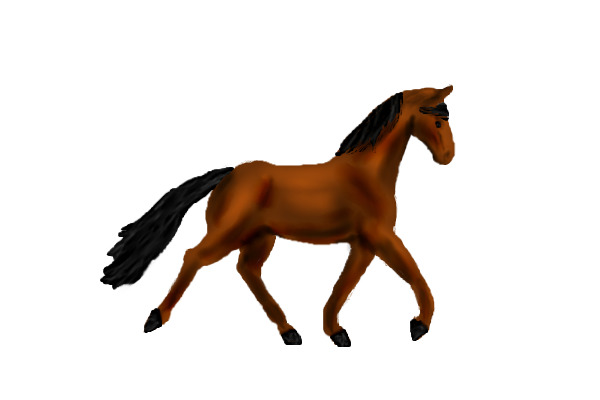 Trotting horse - Lineless practice