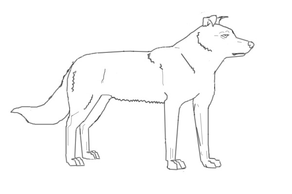 EDITABLE DOG MAKER/BREEDER