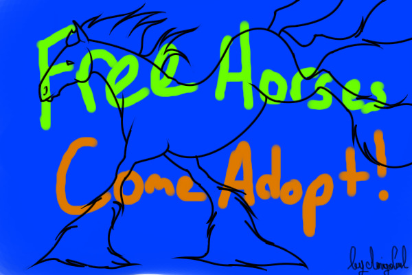 Adopt-A-Free-Horse