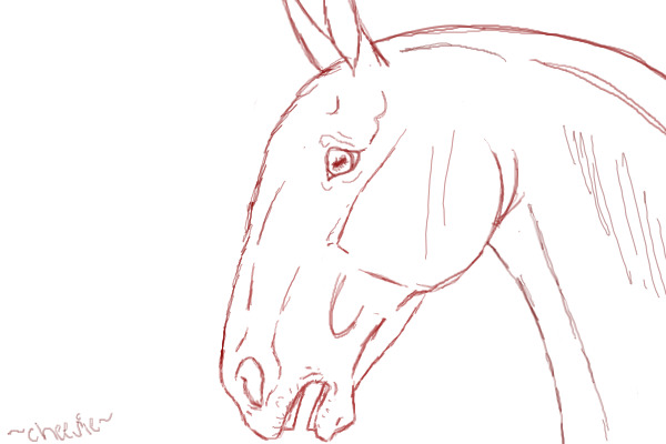 mule :3