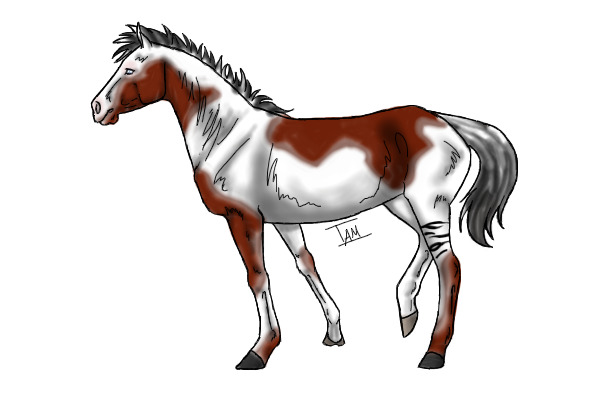 Random Horse