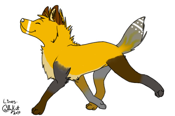 Random Dog