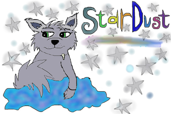 2nd gen wolf called StarDust