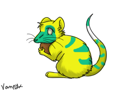 Striped rat