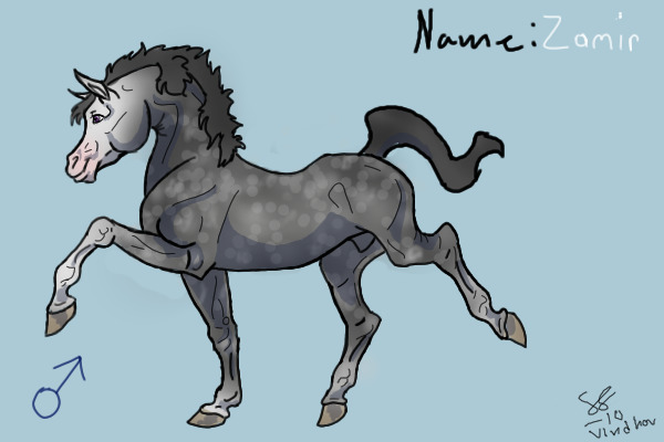 Zamir owned by ~*Fyra*~