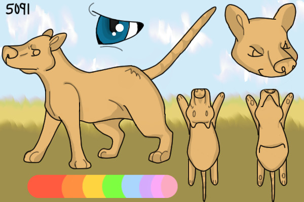 Thylacine Reference Sheet