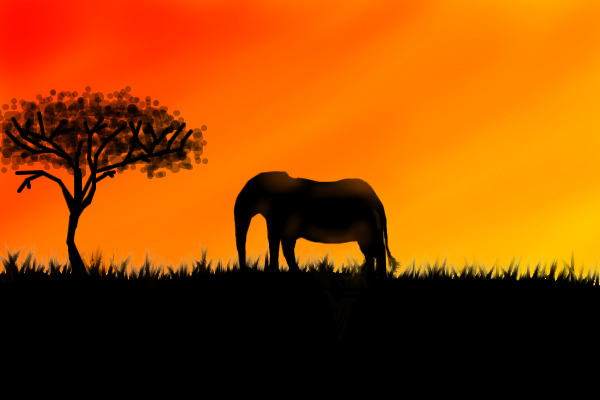 ~Sunset over the savanna~