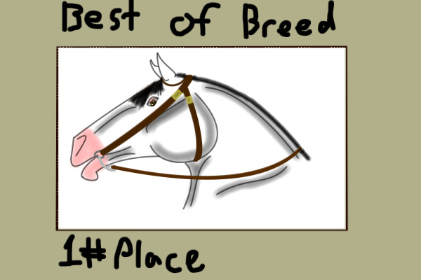 Best Of Breed