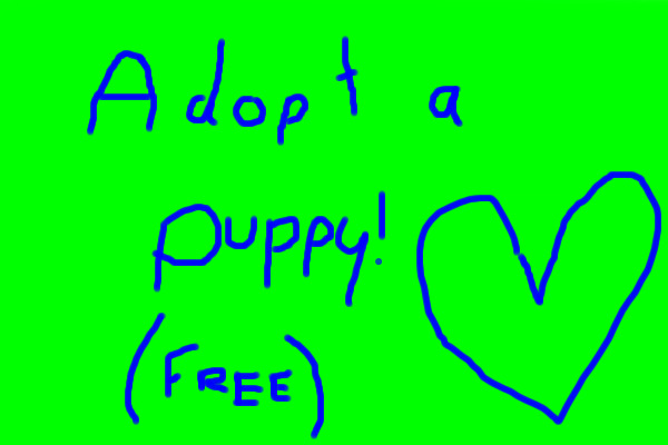 ADOPT A PUPPY! *FREE!*