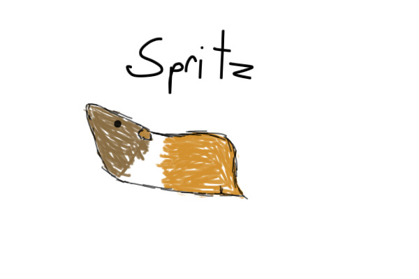 Spritz