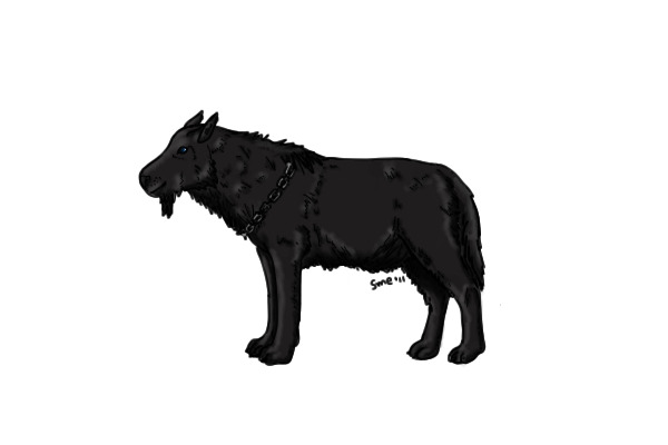 For: WolfyGirl-