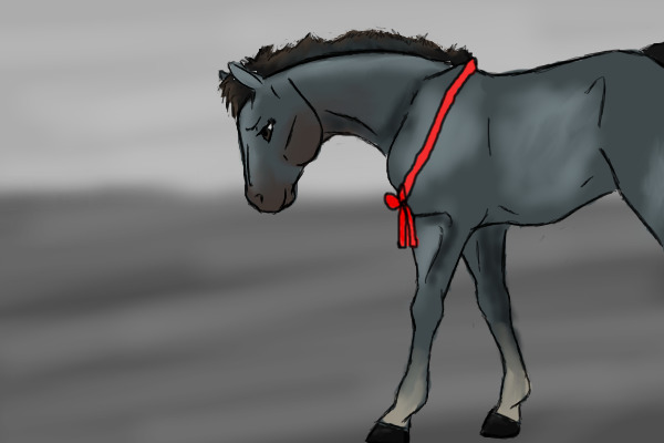 Blue roan, red bow