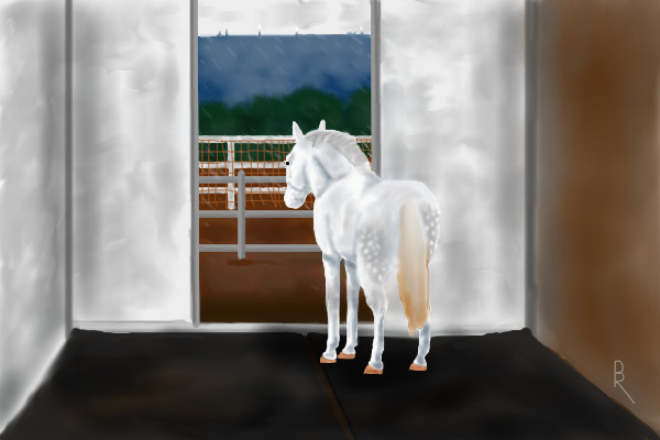 A Pony That Likes To Stare At The Rain