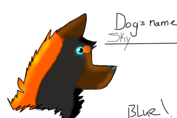 Just a doggie