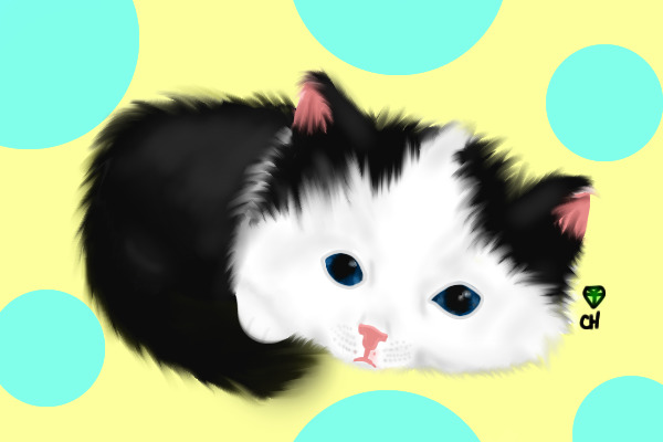 Pretty Little Kitten