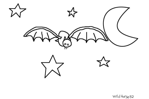 Color Me: Bat at  night