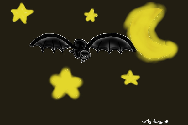 Bright Night Bat Flight