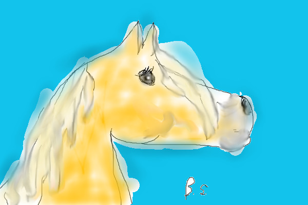 horse!