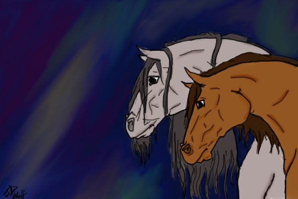 A Horse Couple