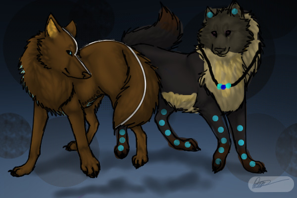 Contest Entry