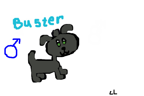 Chub Pups- Buster