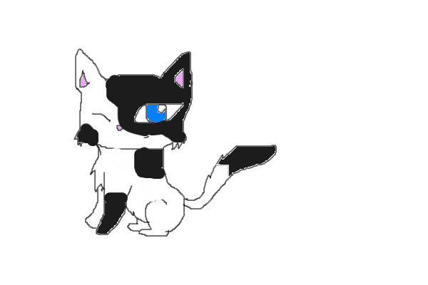 Black and white kitty
