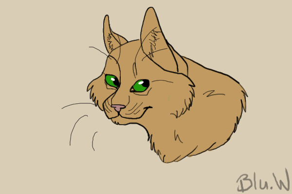 Warrior Cat Lineart one