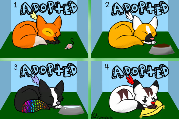 Adopt a fox!