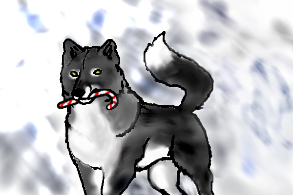 Christmas wolf