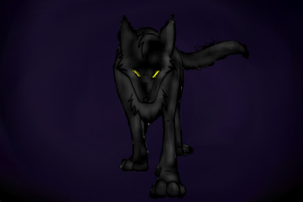 shadow wolf