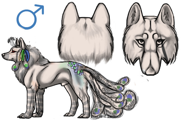 Peacock Dog