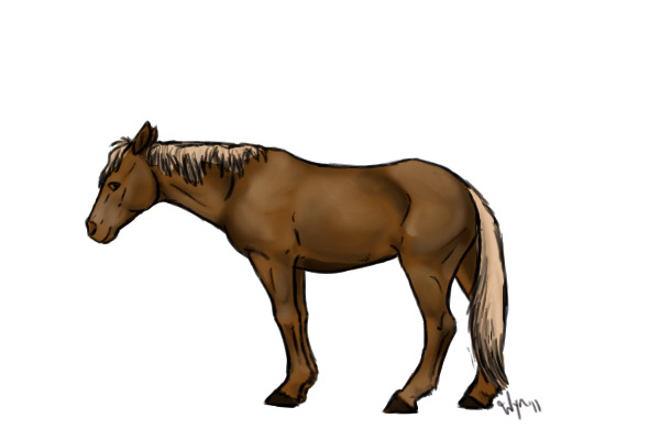 Horse
