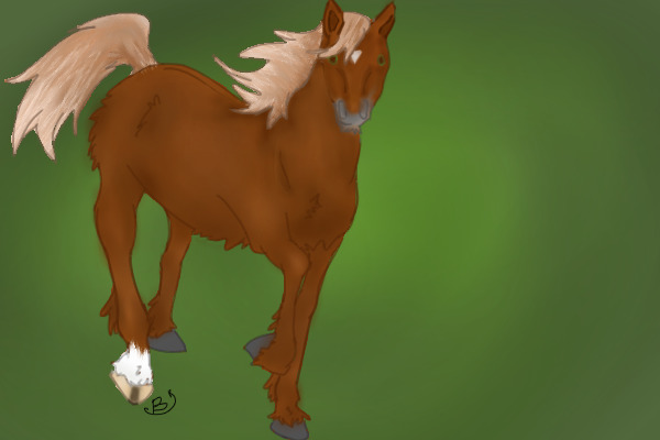 Fluffy Pony