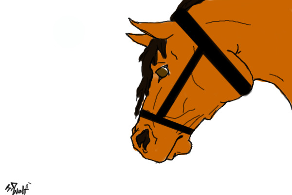 HOrse