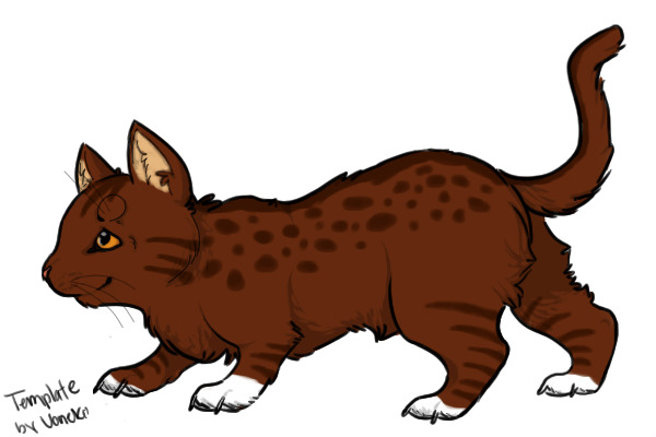 My Warrior Cat reference for Ainki ^-^