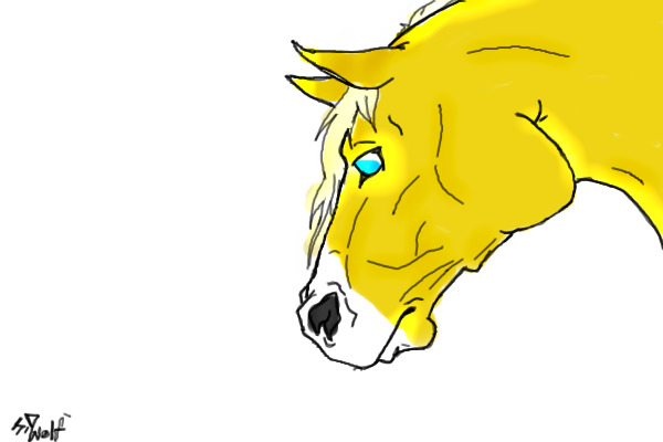 Palomino stallion