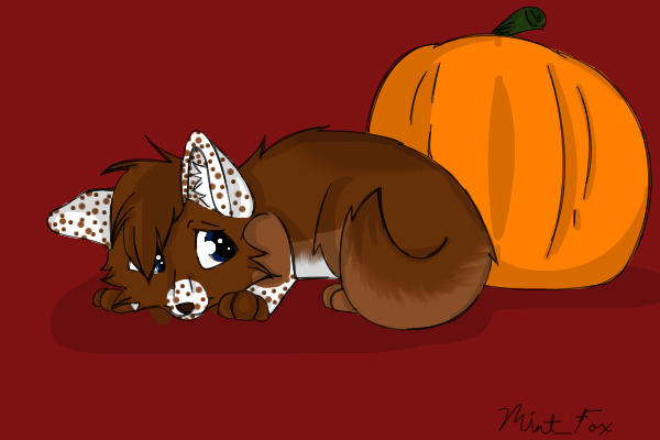 Hershey-Is scared of a Pumpkin!