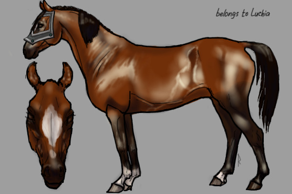Bay+armour