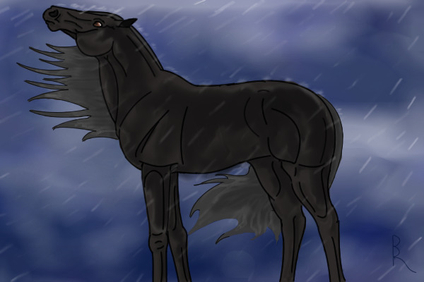 Empty Sable December