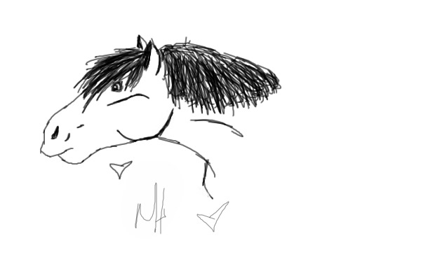 A Quick Horse Sketch