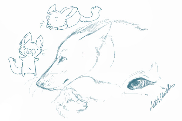 Wolf sketches