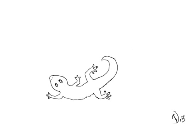 Lizard-Geko thing