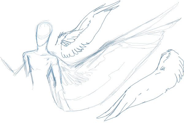Wing Doodles