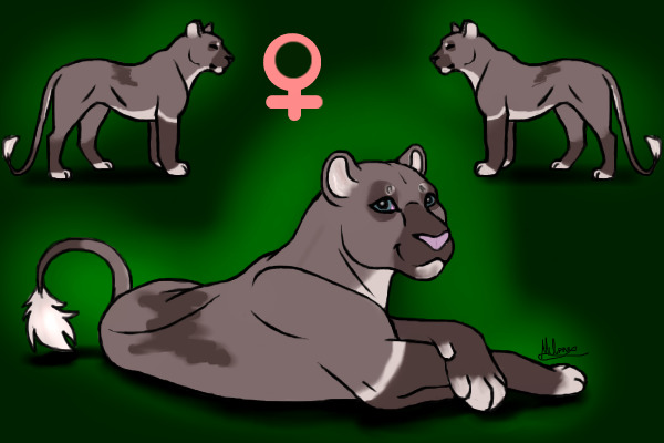 Neko