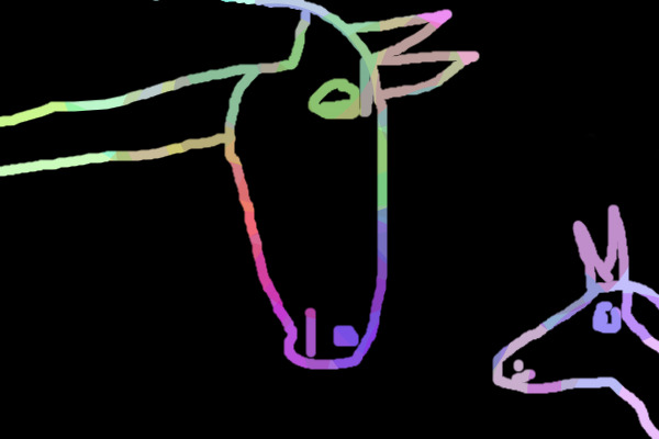 horses