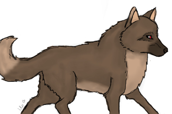 Wolfy
