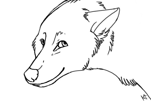 Wolf Headshot Lines